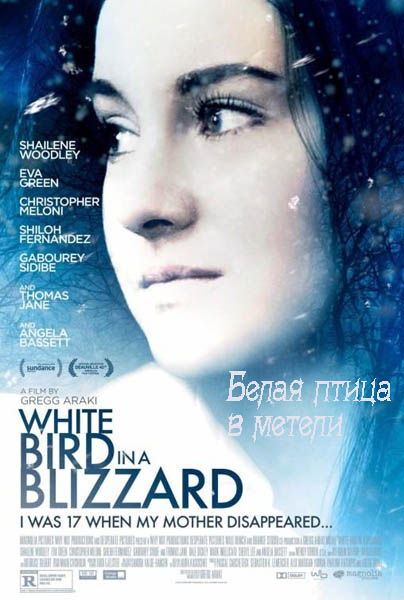 Белая птица в метели (2014)