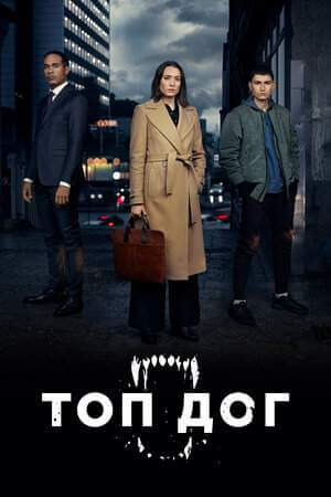 Топ дог 1-2 сезон (2020)