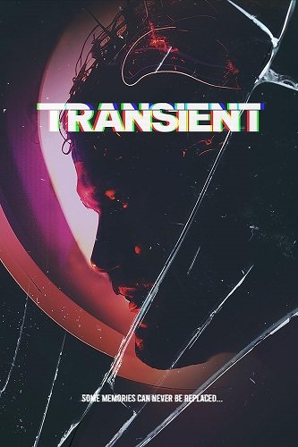 Переходный процесс (2024)